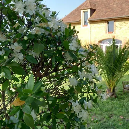 Nocleg ze śniadaniem Grange Edelweiss *